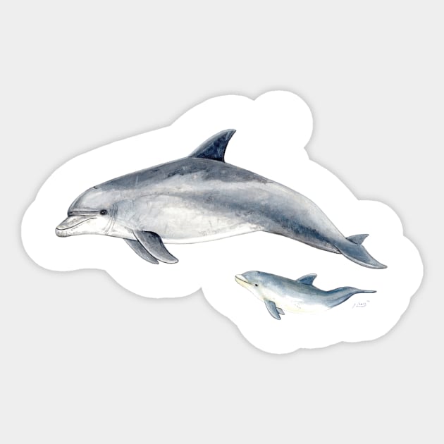 Bottlenose dolphin Sticker by chloeyzoard